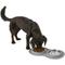 Show in main carousel: Frisco Double Stainless Steel Pet Bowl with Silicone Mat, Light Gray, Small: 1.5 cup slide 7 of 10
