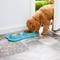 Show in main carousel: Frisco Double Stainless Steel Pet Bowl with Silicone Mat, Teal, X-Small: 0.5 cup slide 6 of 8