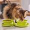 Show in main carousel: Frisco Double Travel Collapsible Silicone Dog & Cat Bowl, Lime, Small: 1.5 cup slide 6 of 10