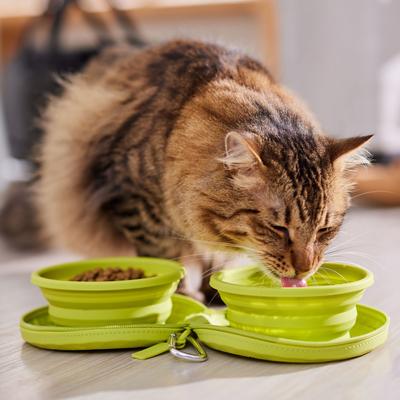 Show full view: Frisco Double Travel Collapsible Silicone Dog & Cat Bowl, Lime, Small: 1.5 cup slide 6 of 10