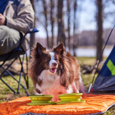 Show full view: Frisco Double Travel Collapsible Silicone Dog & Cat Bowl, Lime, Small: 1.5 cup slide 5 of 10