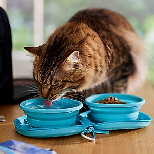 Frisco Double Travel Collapsible Silicone Dog & Cat Bowl, Teal, Small: 1.5 cup