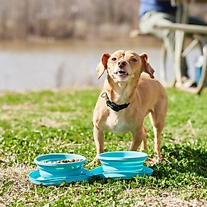 Frisco Double Travel Collapsible Silicone Dog & Cat Bowl, Teal, Small: 1.5 cup