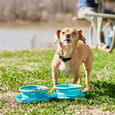 Show full view: Frisco Double Travel Collapsible Silicone Dog & Cat Bowl, Teal, Small: 1.5 cup slide 6 of 11