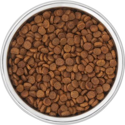 Show full view: Frisco Double Wall Insulated Dog & Cat Bowl, Maroon, 4 cup, 1 count slide 6 of 11