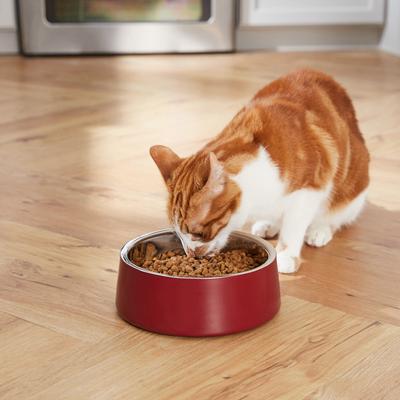 Show full view: Frisco Double Wall Insulated Dog & Cat Bowl, Maroon, 4 cup, 1 count slide 8 of 11