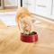Show in main carousel: Frisco Double Wall Insulated Dog & Cat Bowl, Maroon, 4 cup, 1 count slide 9 of 11