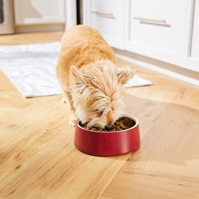 Show full view: Frisco Double Wall Insulated Dog & Cat Bowl, Maroon, 4 cup, 1 count slide 9 of 11