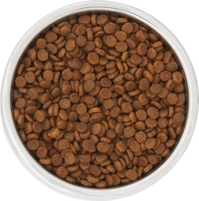 Show full view: Frisco Double Wall Insulated Dog & Cat Bowl, Maroon, 6 cup, 1 count slide 5 of 9