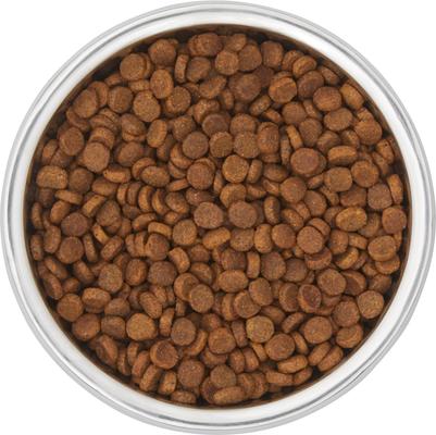 Show full view: Frisco Double Wall Insulated Dog & Cat Bowl, Peach, 4 cup, 1 count slide 5 of 10