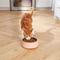 Show in main carousel: Frisco Double Wall Insulated Dog & Cat Bowl, Peach, 4 cup, 1 count slide 7 of 10