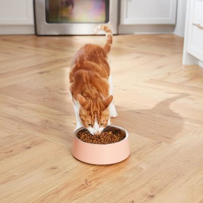 Show full view: Frisco Double Wall Insulated Dog & Cat Bowl, Peach, 4 cup, 1 count slide 7 of 10