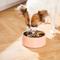 Show in main carousel: Frisco Double Wall Insulated Dog & Cat Bowl, Peach, 6 cup, 1 count slide 6 of 8