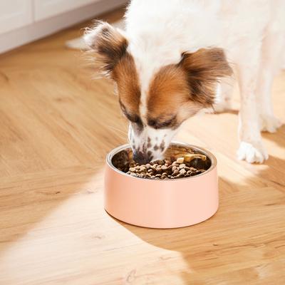 Show full view: Frisco Double Wall Insulated Dog & Cat Bowl, Peach, 6 cup, 1 count slide 6 of 8