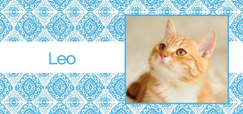 Show full view: Frisco Double Walled Boho Damask Personalized Tumbler, 30-oz cup slide 3 of 7