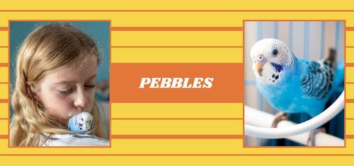 Show full view: Frisco Double Walled Preppy Stripes Personalized Tumbler, 30-oz cup slide 3 of 6