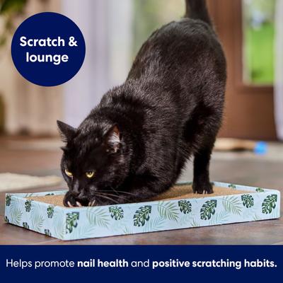 Show full view: Frisco Double-Wide Cat Scratcher Toy with Catnip, 1 count, Tropical Paradise slide 4 of 7