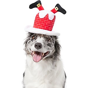Frisco Down the Chimney Dog & Cat Headpiece, Medium/Large