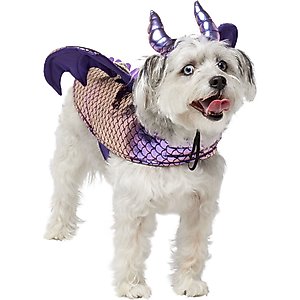 Frisco Dragon Dog & Cat Costume Accessory, Medium/Large
