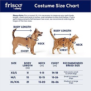 Frisco Dragon Dog & Cat Costume Accessory, Medium/Large