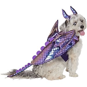 Frisco Dragon Dog & Cat Costume Accessory, Medium/Large