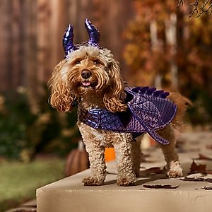 Frisco Dragon Dog & Cat Costume Accessory, Medium/Large