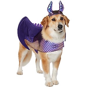 Frisco Dragon Dog & Cat Costume Accessory, X-Large/XX-Large