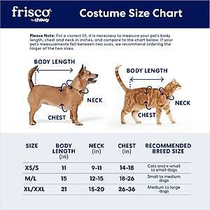 Frisco Dragon Dog & Cat Costume Accessory, X-Large/XX-Large