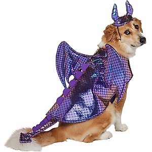 Frisco Dragon Dog & Cat Costume Accessory, X-Large/XX-Large
