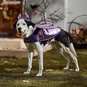 Frisco Dragon Dog & Cat Costume Accessory, X-Large/XX-Large