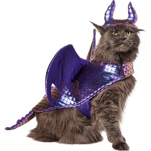 Frisco Dragon Dog & Cat Costume Accessory, X-Small/Small