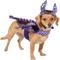 Show in main carousel: Frisco Dragon Dog & Cat Costume Accessory, X-Small/Small slide 3 of 10