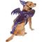 Show in main carousel: Frisco Dragon Dog & Cat Costume Accessory, X-Small/Small slide 4 of 10