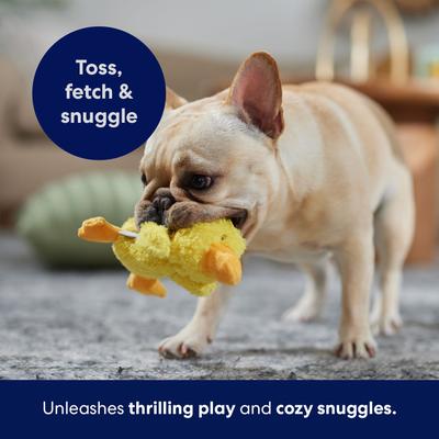 Show full view: Frisco Duck Plush Squeaky Dog Toy, X-Small/Small slide 5 of 7