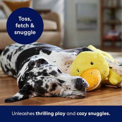 Show full view: Frisco Duck Plush Squeaky Dog Toy, X-Large slide 5 of 7