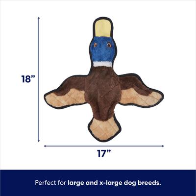 Show full view: Frisco Duck Stuffing-Free Flat Plush Squeaky Dog Toy, Large/X-Large slide 2 of 5