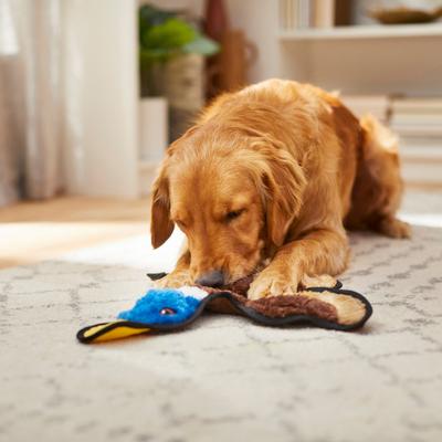 Show full view: Frisco Duck Stuffing-Free Flat Plush Squeaky Dog Toy, Large/X-Large slide 3 of 5