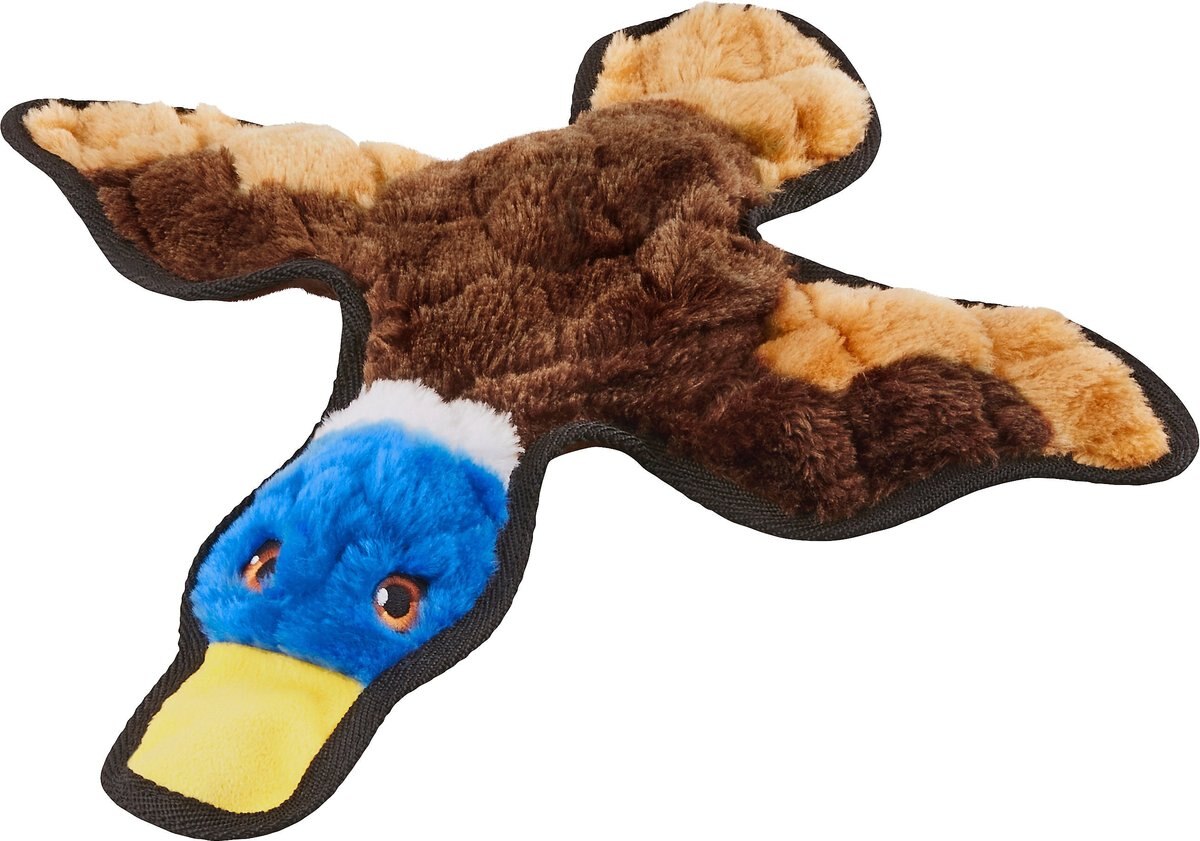 Frisco Duck Stuffing-Free Flat Plush Squeaky Dog Toy