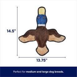 Frisco Duck Stuffing-Free Flat Plush Squeaky Dog Toy, Medium/Large slide 2 of 4