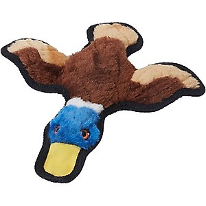 Frisco Duck Stuffing-Free Flat Plush Squeaky Dog Toy, Small/Medium