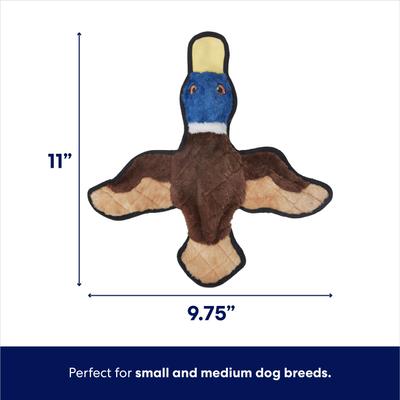 Show full view: Frisco Duck Stuffing-Free Flat Plush Squeaky Dog Toy, Small/Medium slide 2 of 5