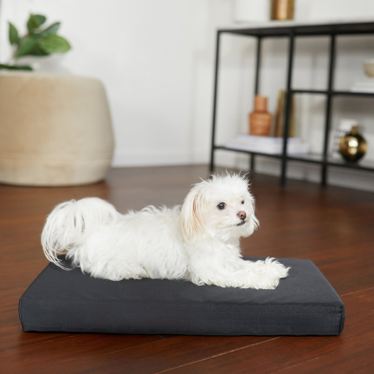 Frisco Durable Crate Mat, Black, 30-in