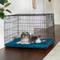 Show in main carousel: Frisco Durable Crate Mat, Teal, 47-in slide 6 of 7
