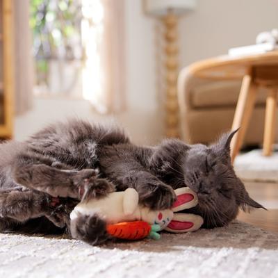 Show full view: Frisco Easter Bunny & Detachable Carrot Plush Kicker Cat Toy with Catnip slide 5 of 7