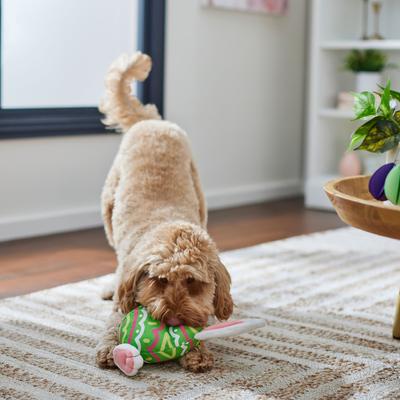 Show full view: Frisco Easter Bunny Egg Plush Squeaky Dog Toy, Large slide 5 of 7