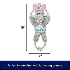 Frisco Easter Bunny Plush with Rope Squeaky Dog Toy, Medium/Large slide 2 of 6