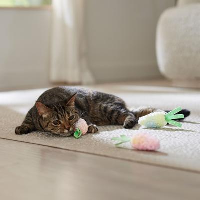 Show full view: Frisco Easter Carrot Plush Cat Toy with Catnip, 3 count slide 4 of 6