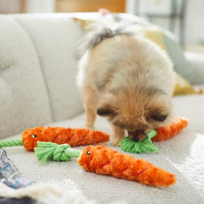Show full view: Frisco Easter Carrot Plush with Rope Dog Toy, Small/Medium, 3 count slide 5 of 7