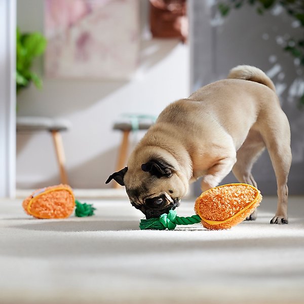 Show full view: Frisco Easter Carrot Plush with Rope Squeaky Dog Toy, Small/Medium, 2 count slide 5 of 7