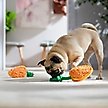 Show in main carousel: Frisco Easter Carrot Plush with Rope Squeaky Dog Toy, Small/Medium, 2 count slide 5 of 7